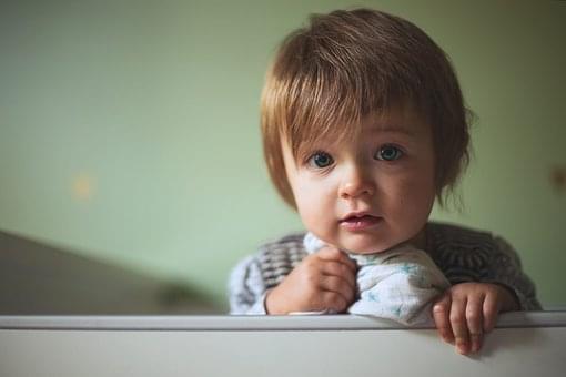 久伴英语-3-6岁幼儿英语培训_3-6岁少儿英语培训机构怎么选?