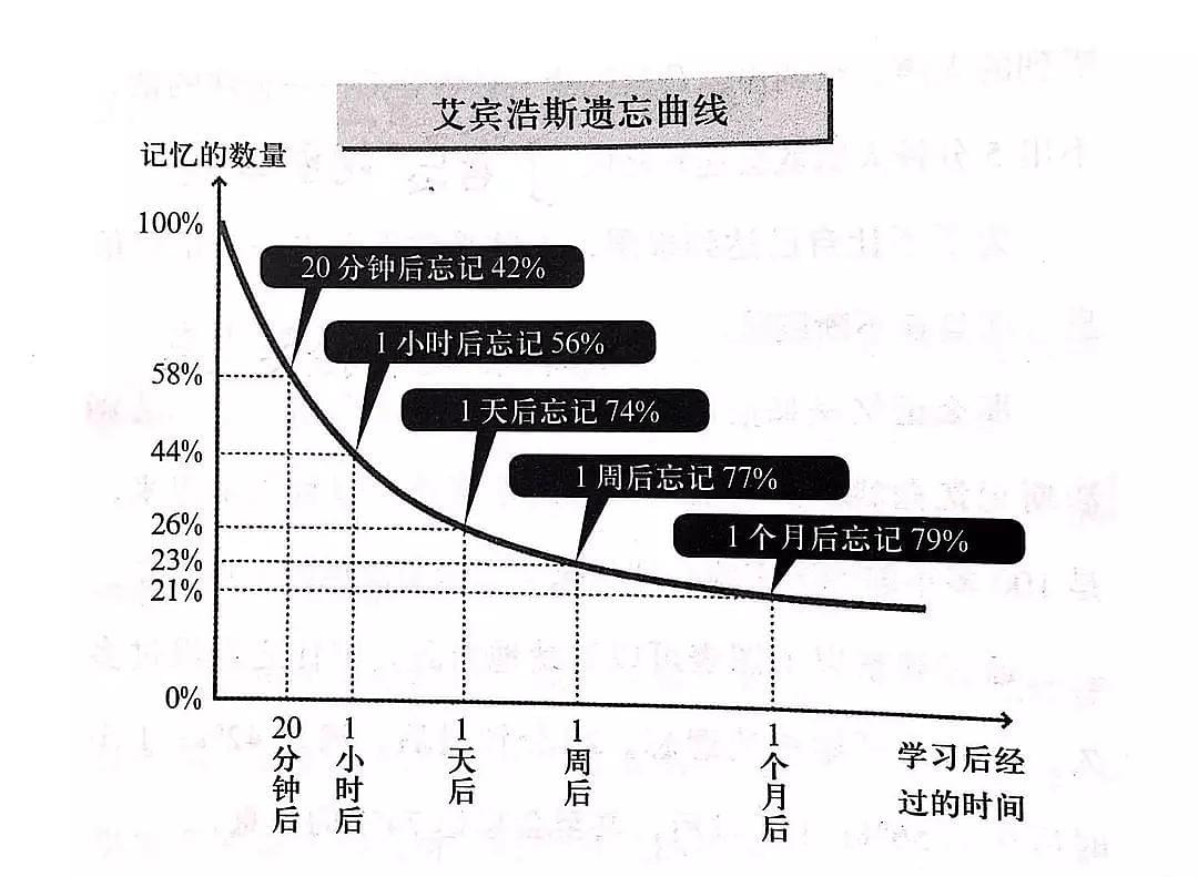 久伴英语-英语单词专心背_提高英语单词背诵效率的方法,让单词变得简单