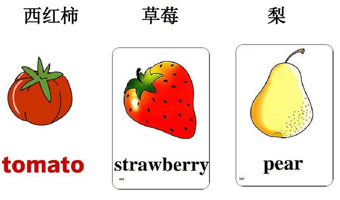 久伴英语-儿童英语单词记忆法_英语单词的记忆要注重技巧,儿童单词记忆法